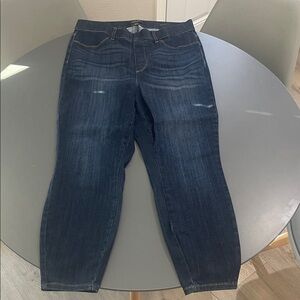 Judy Blue Dark Wash Skinny Jeans